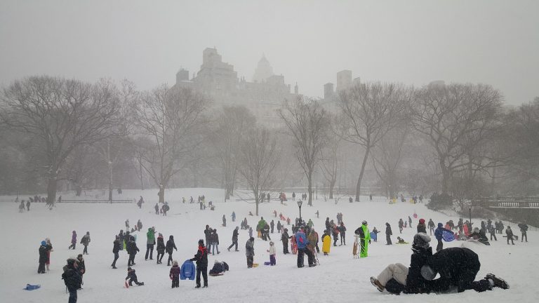 Snow, central park, new york — Creating High-Quality Wire-O Bound Books for Your Business Needs