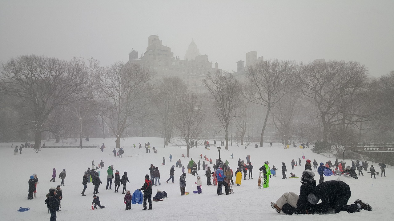Snow, central park, new york — Creating High-Quality Wire-O Bound Books for Your Business Needs